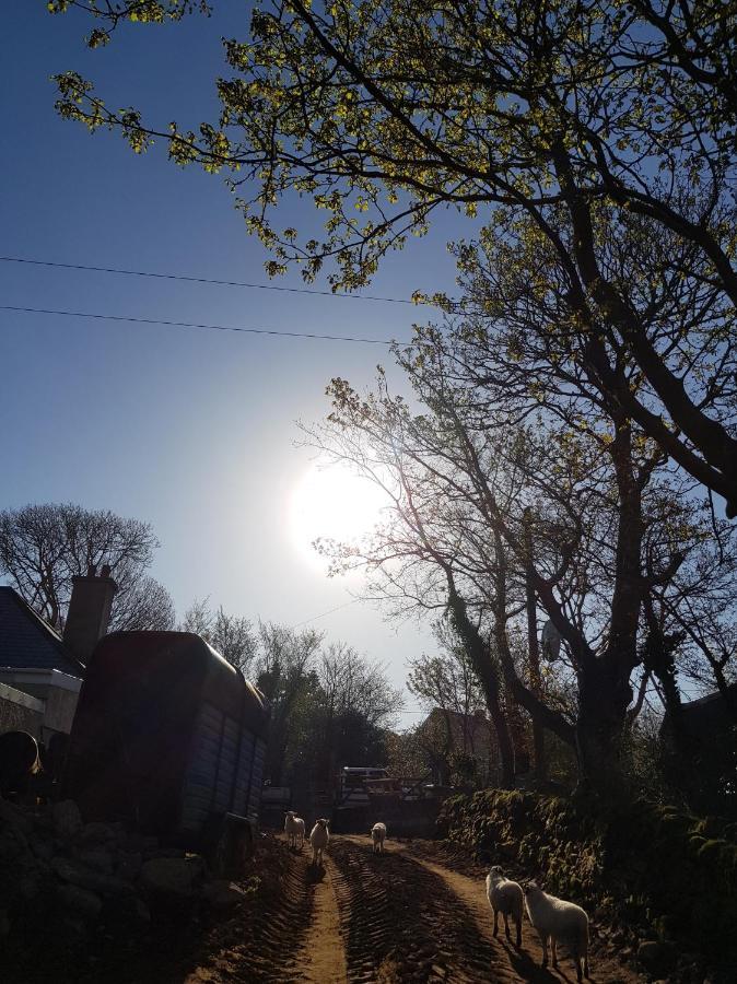 Shadow River Farm Anascaul Buitenkant foto