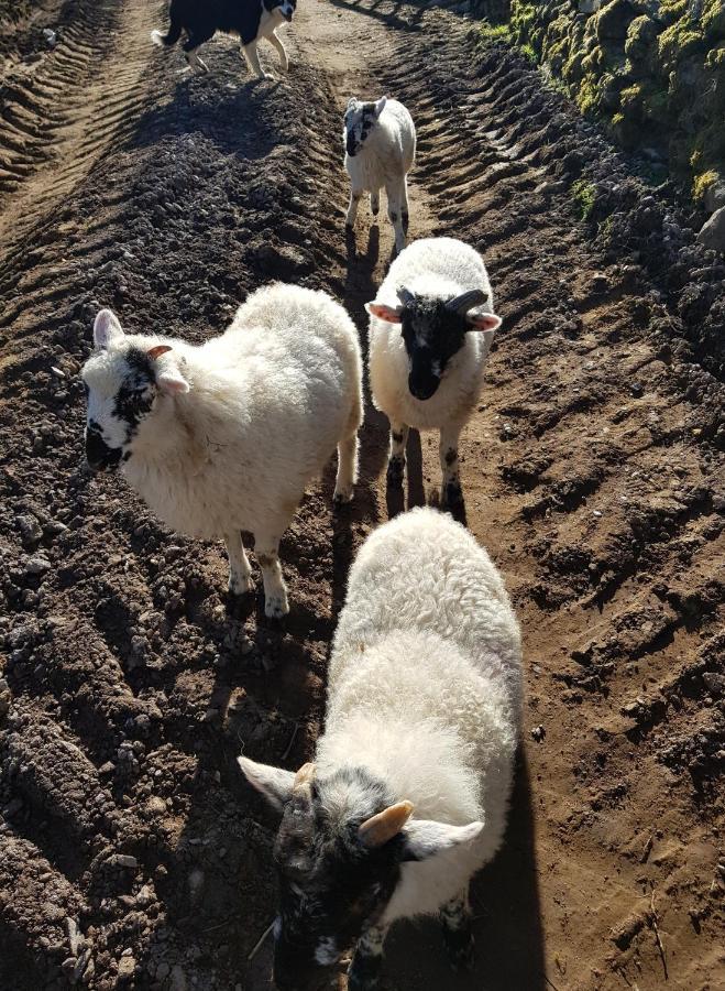 Shadow River Farm Anascaul Buitenkant foto